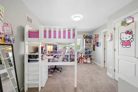 26009 West Stewart Ridge Drive Plainfield IL 60585
