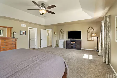 462 East Amberside Drive Elgin IL 60124