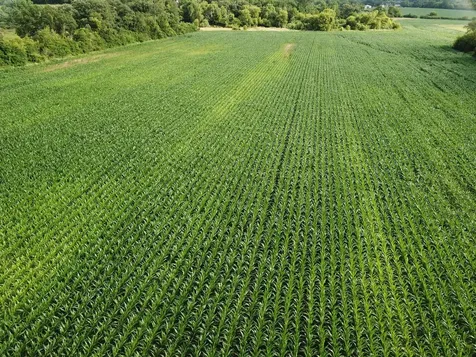 0000 Streit Road Harvard IL 60033