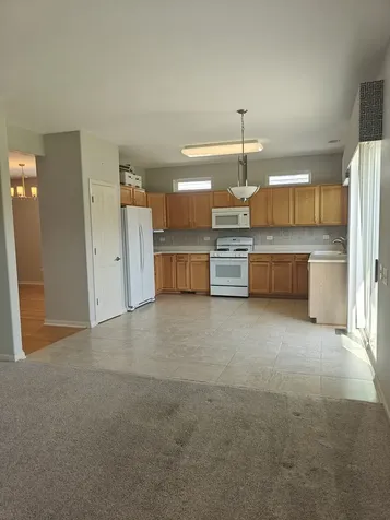 12983 West Willow Creek Lane Huntley IL 60142