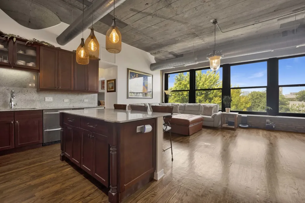 1033 West 14th Place Chicago IL 60608