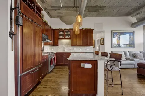 1033 West 14th Place Chicago IL 60608