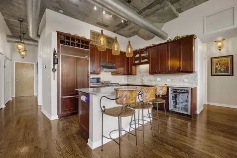 1033 West 14th Place Chicago IL 60608
