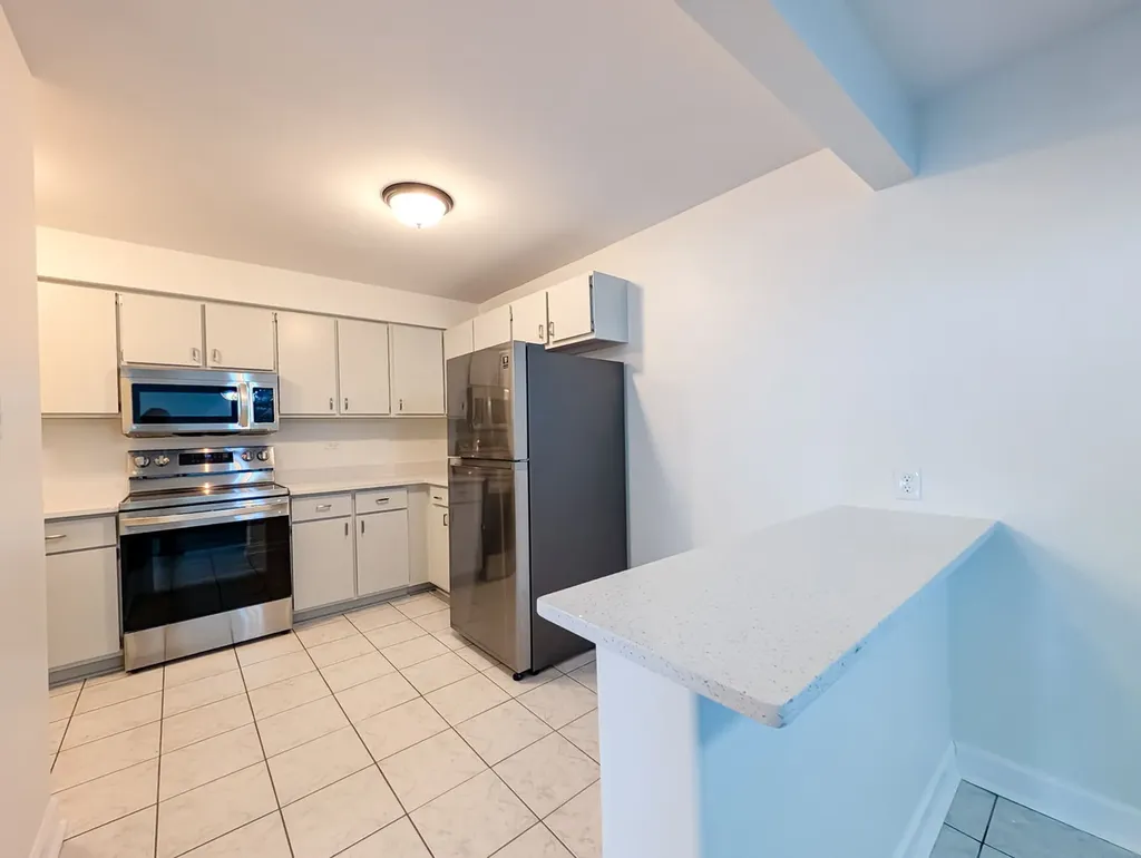 483 North Larch Avenue Elmhurst IL 60126
