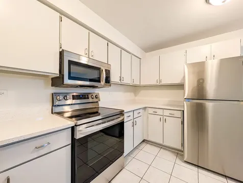 483 North Larch Avenue Elmhurst IL 60126