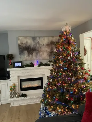 1662 Kimberly Avenue Elgin IL 60123