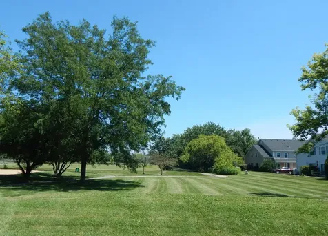 270 Butternut Lane Streamwood IL 60107