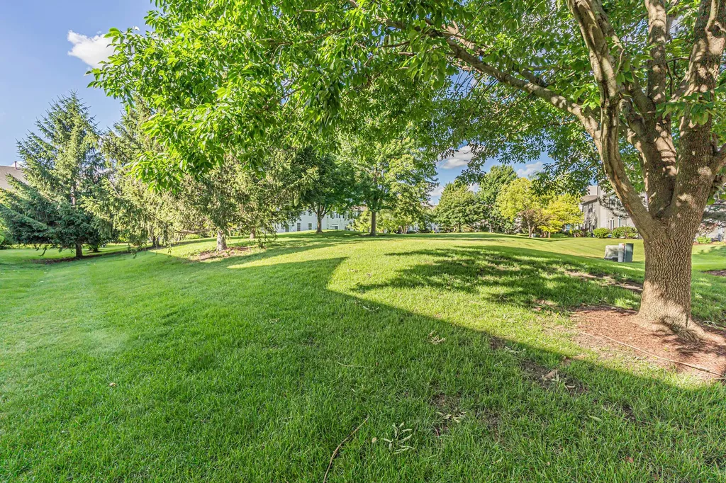 158 North Palmer Drive Bolingbrook IL 60490