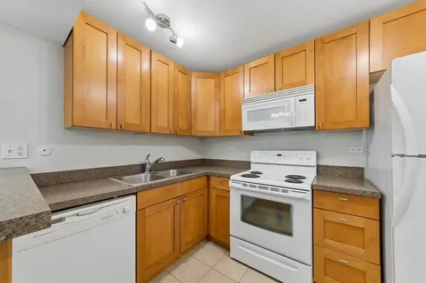 10111 Old Orchard Court Skokie IL 60076