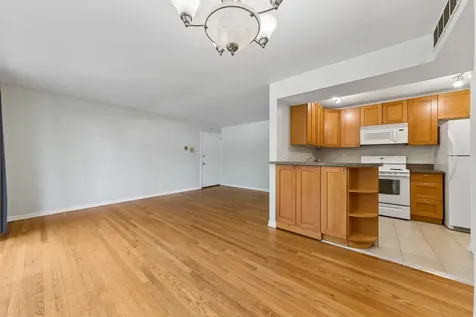 10111 Old Orchard Court Skokie IL 60076