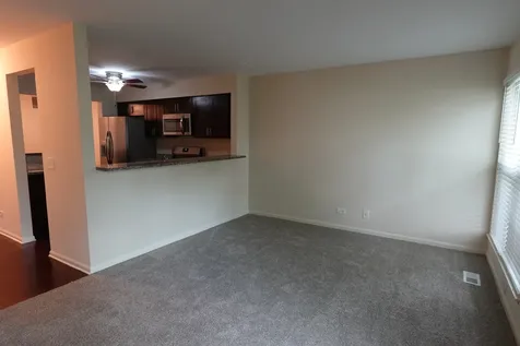 1070 Woodhill Court Elgin IL 60120