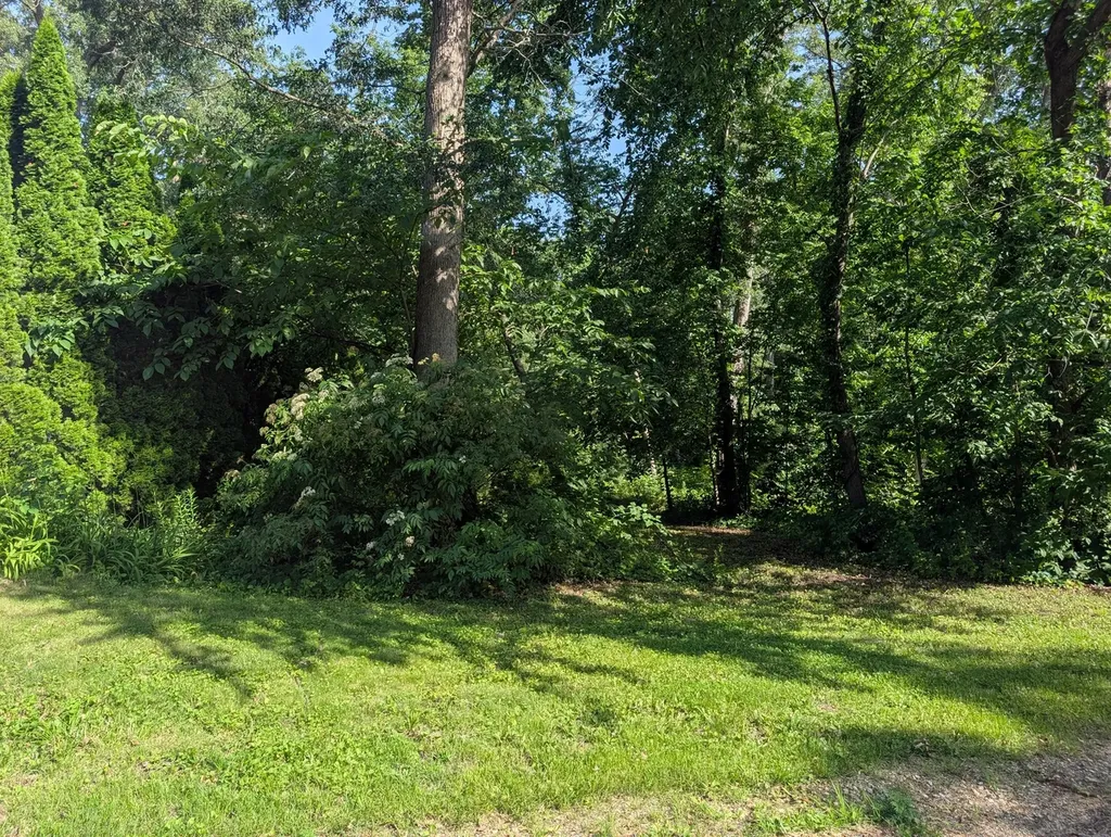 2145 Hawthorne Drive Davis IL 61019