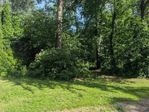 2145 Hawthorne Drive Davis IL 61019