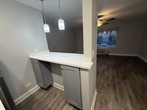 744 West Gordon Terrace Chicago IL 60613