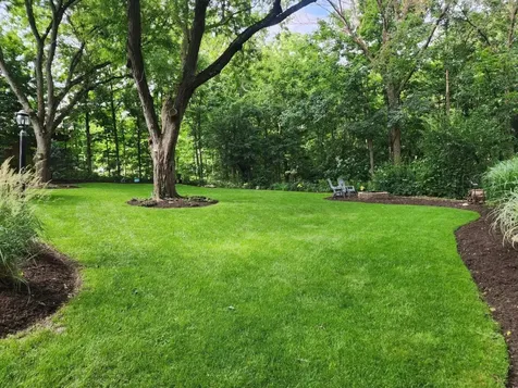 20736 Briarwood Lane Mokena IL 60448