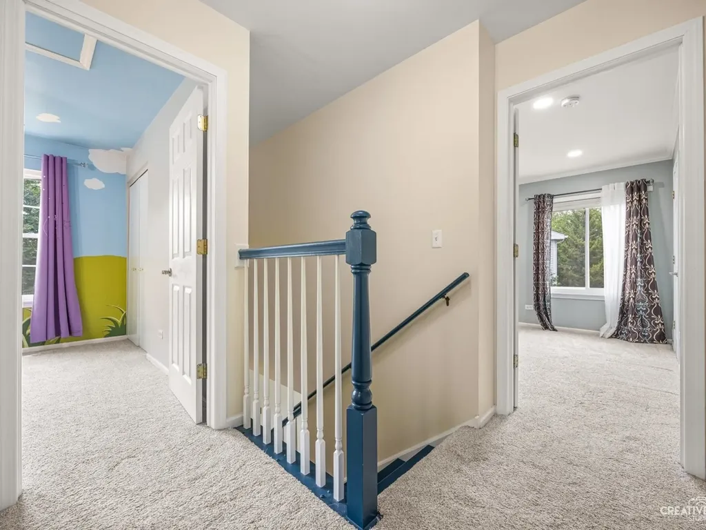 2463 Warm Springs Lane Naperville IL 60564