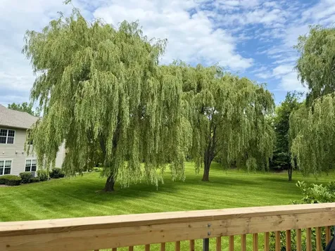 2647 Granite Court Crystal Lake IL 60012
