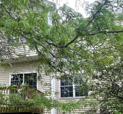 1342 North Winslowe Drive Palatine IL 60074