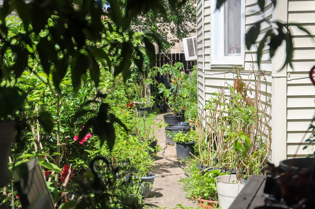 6315 South Troy Street Chicago IL 60629