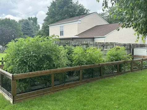 1549 Sawgrass Court Elgin IL 60123
