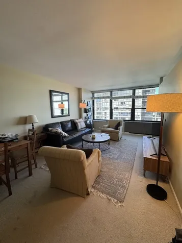 1560 North Sandburg Terrace Chicago IL 60610