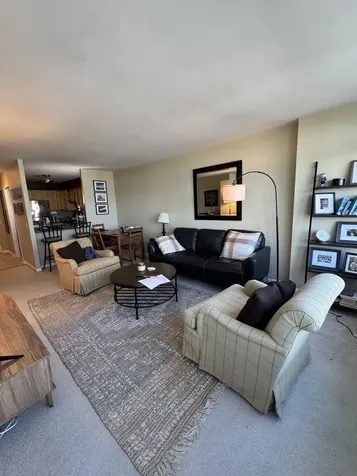 1560 North Sandburg Terrace Chicago IL 60610