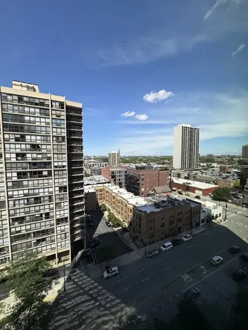 1560 North Sandburg Terrace Chicago IL 60610