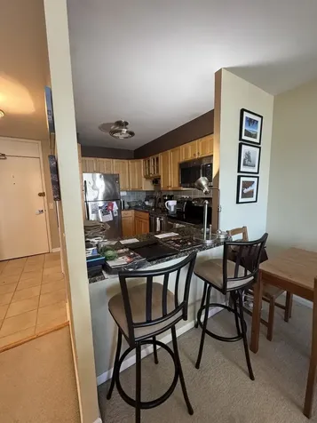 1560 North Sandburg Terrace Chicago IL 60610