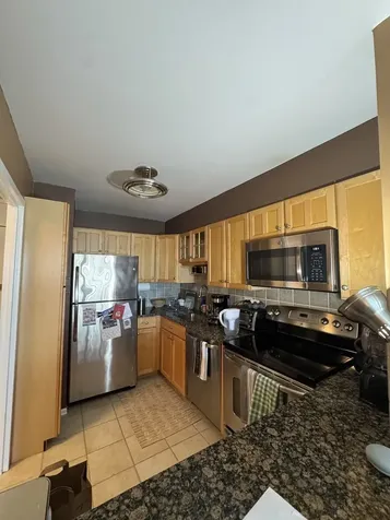1560 North Sandburg Terrace Chicago IL 60610