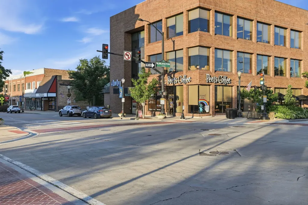 1065 Barneswood Drive Downers Grove IL 60515