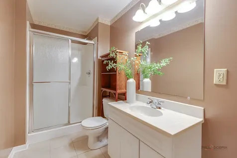 1156 Wheatland Court Yorkville IL 60560