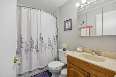 1435 Bear Flag Drive Hanover Park IL 60133