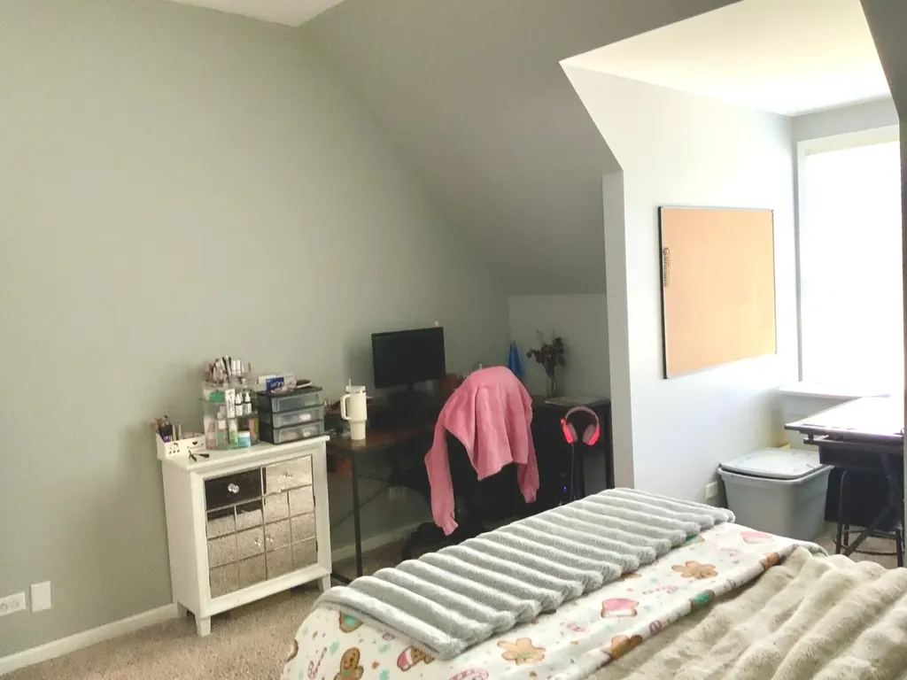 25958 West Karen Drive Plainfield IL 60585