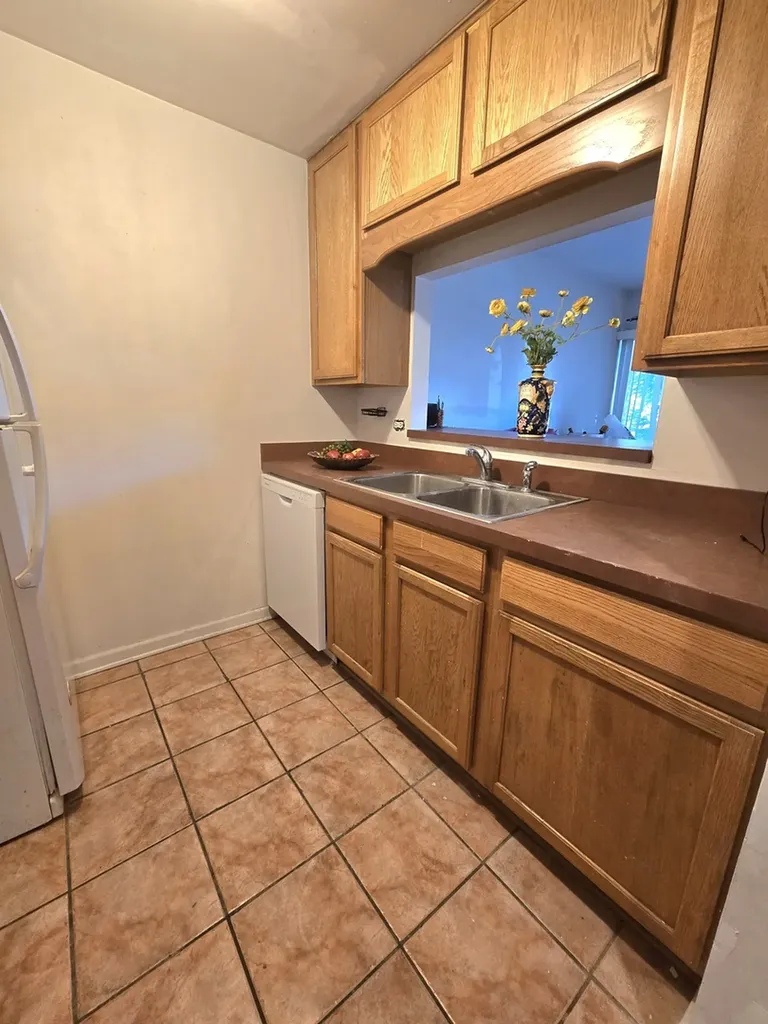 5921 Meadow Drive Lisle IL 60532