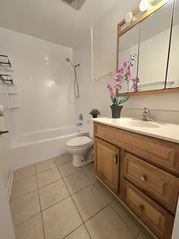 5921 Meadow Drive Lisle IL 60532
