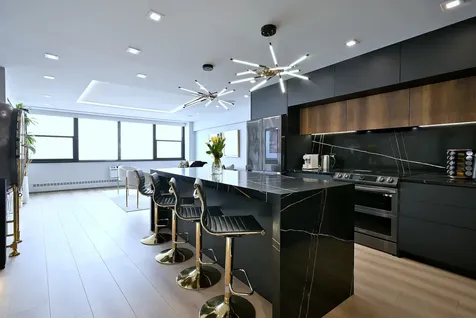 1150 North Lake Shore Drive Chicago IL 60611