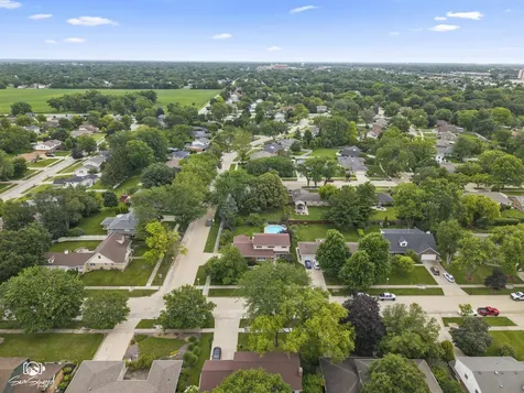 226 Meadow Wood Drive Joliet IL 60431