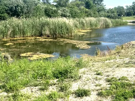2 Wayman Canyon Road Oakwood IL 61858