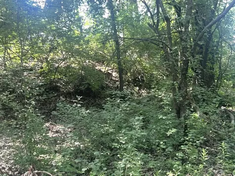 2 Wayman Canyon Road Oakwood IL 61858