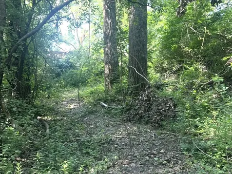 2 Wayman Canyon Road Oakwood IL 61858