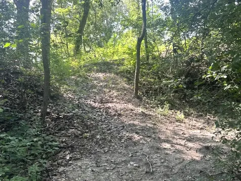 2 Wayman Canyon Road Oakwood IL 61858