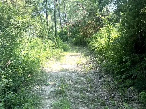 2 Wayman Canyon Road Oakwood IL 61858