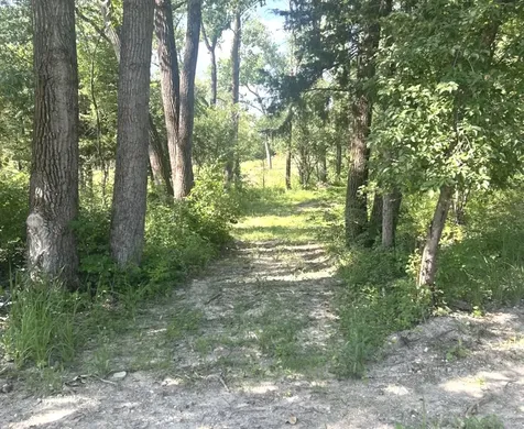 2 Wayman Canyon Road Oakwood IL 61858