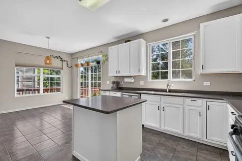 205 Station Park Circle Grayslake IL 60030