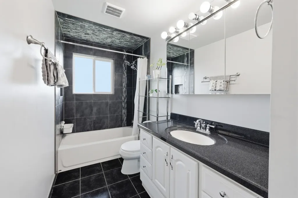 220 Sagamore Court Schaumburg IL 60194