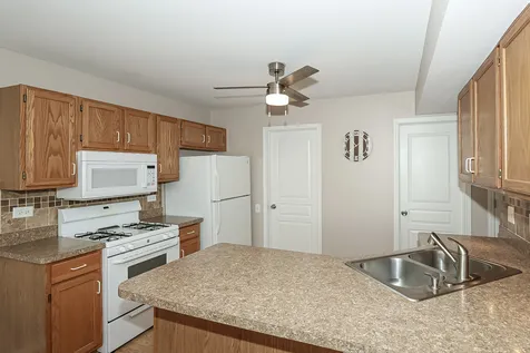 1272 Silk Oak Lane Bartlett IL 60103