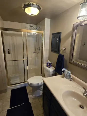 17042 Lockwood Avenue Oak Forest IL 60452