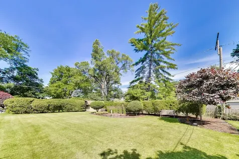 1012 Bonita Drive Park Ridge IL 60068