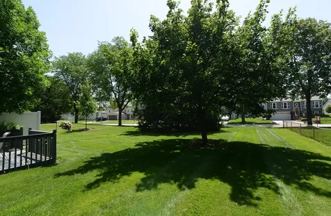 1265 Downing Street Roselle IL 60172
