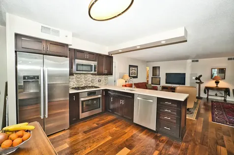 9655 Woods Drive Skokie IL 60077